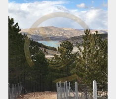 ALTINAPA BARAJI MANZARALI YÜZÜK TAŞI BAHÇE YERİ ALTINAPA BARAJI MANZARALI YÜZÜK TAŞI BAHÇE YERİ